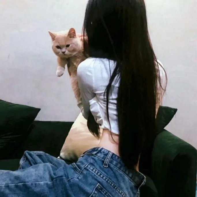 杨光的快乐生活之绅士品格海报