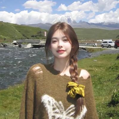 厨子当官海报
