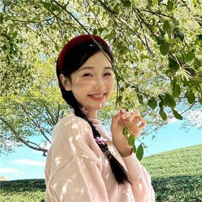 安妮回忆录海报
