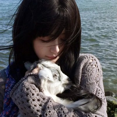 宫崎骏与苍鹭海报